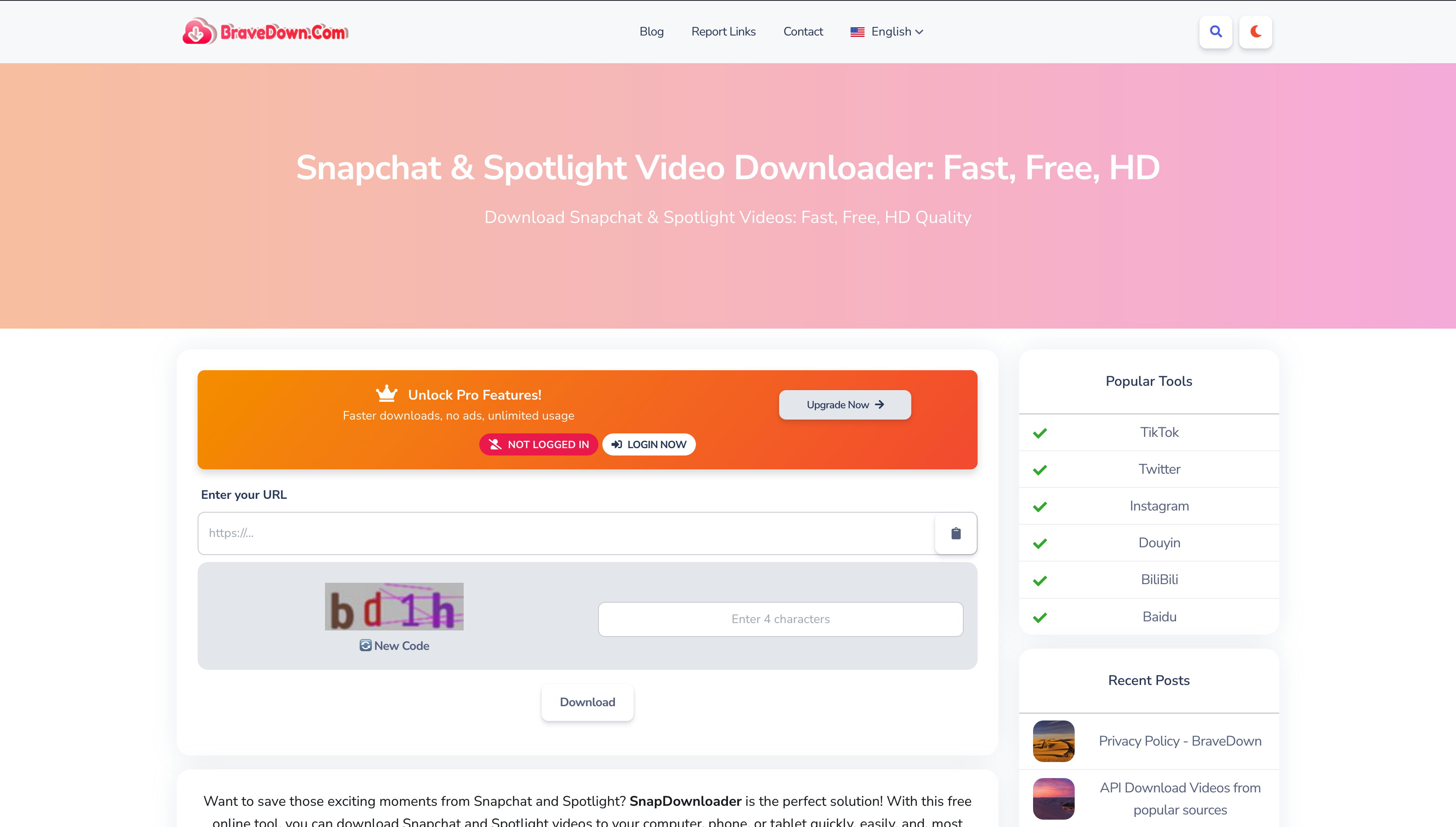 Screenshot of Video Downloader Tool